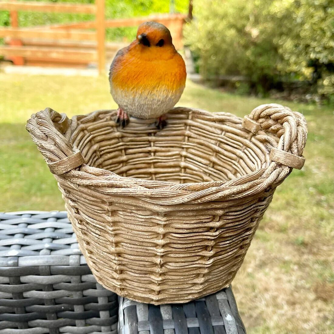 Robin on Basket Bird Feeder