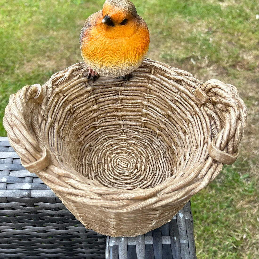 Robin on Basket Bird Feeder