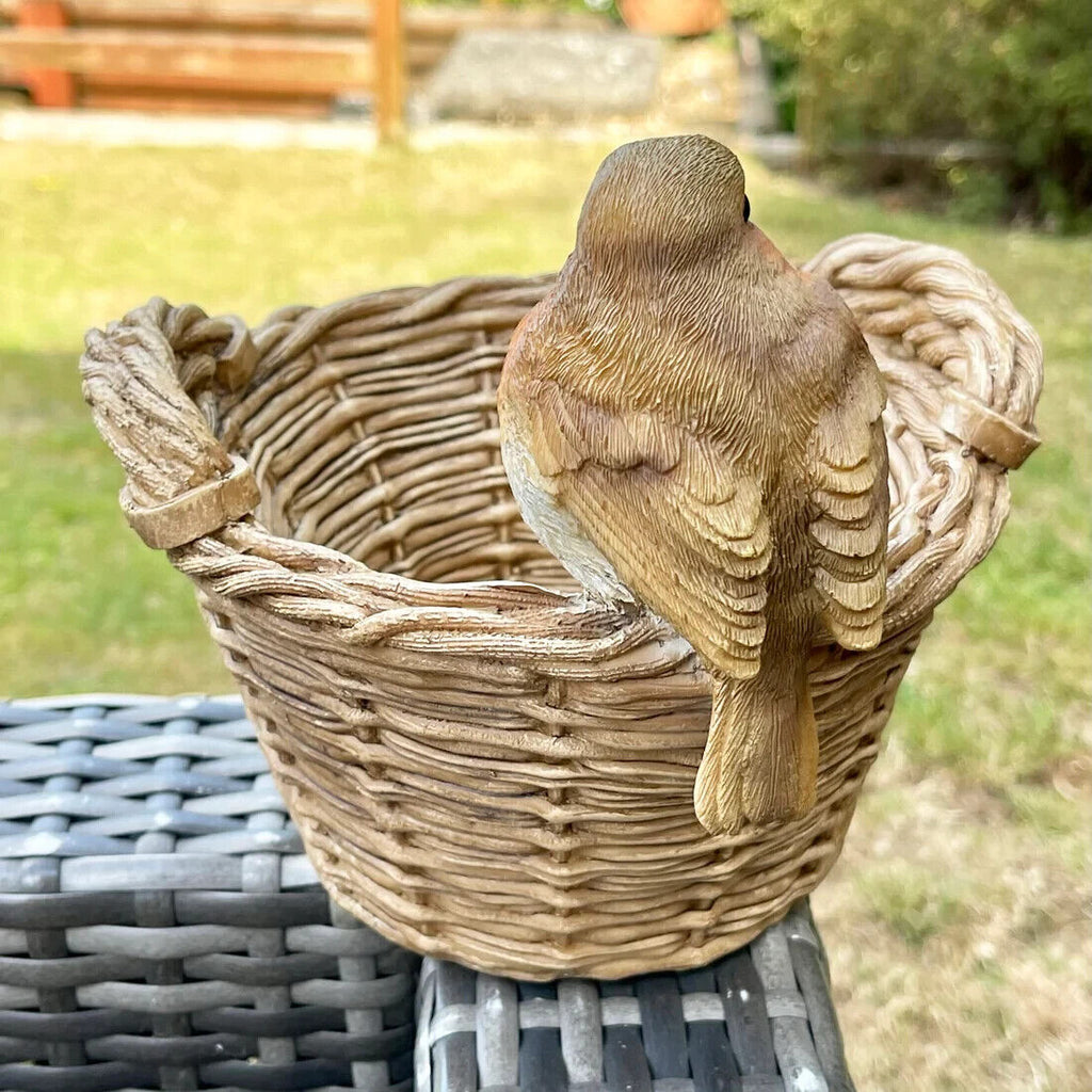 Robin on Basket Bird Feeder