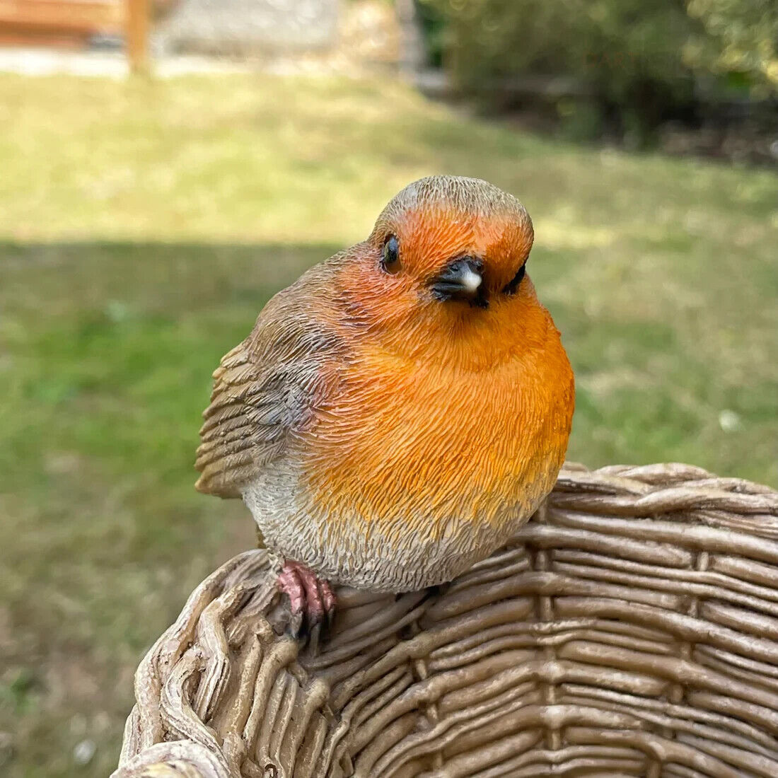 Robin on Basket Bird Feeder