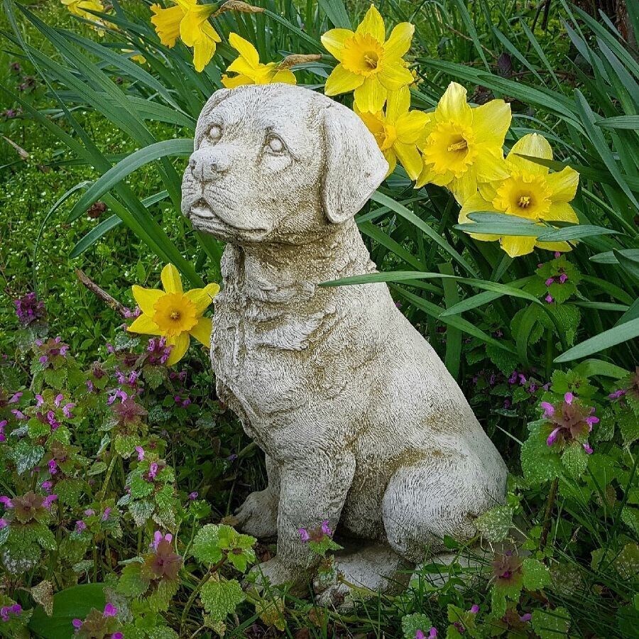 Sitting Labrador Stone Statue