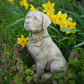 Sitting Labrador Stone Statue