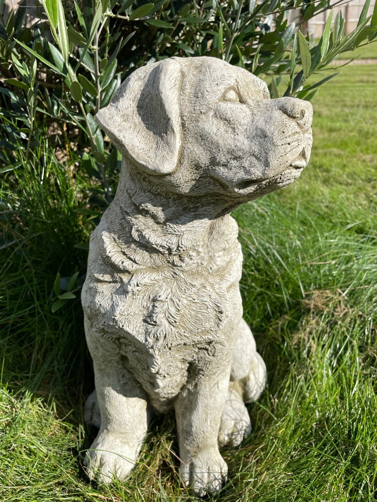 Sitting Labrador Stone Statue