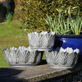 Galvanised Metal Petiole Planters