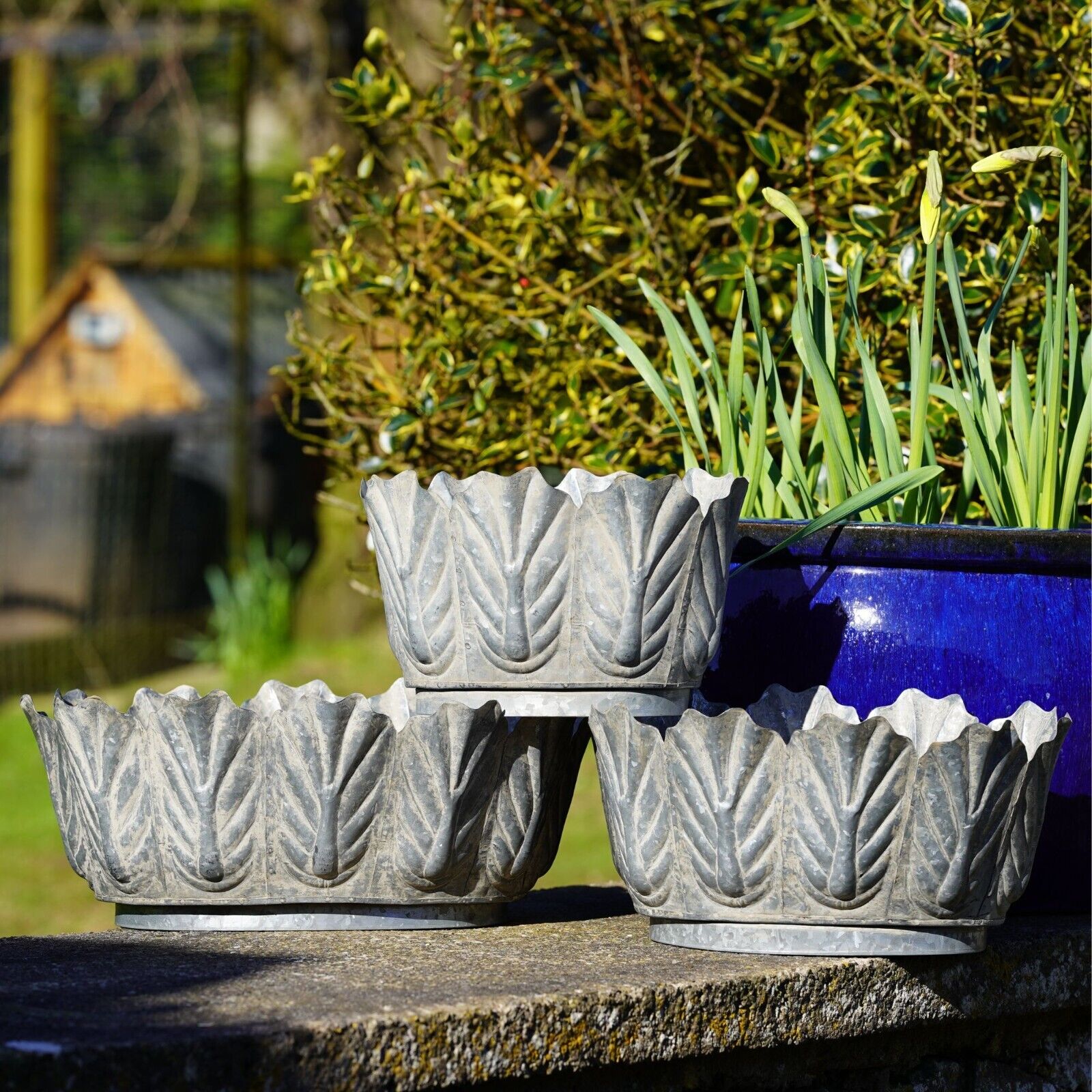 Galvanised Metal Petiole Planters