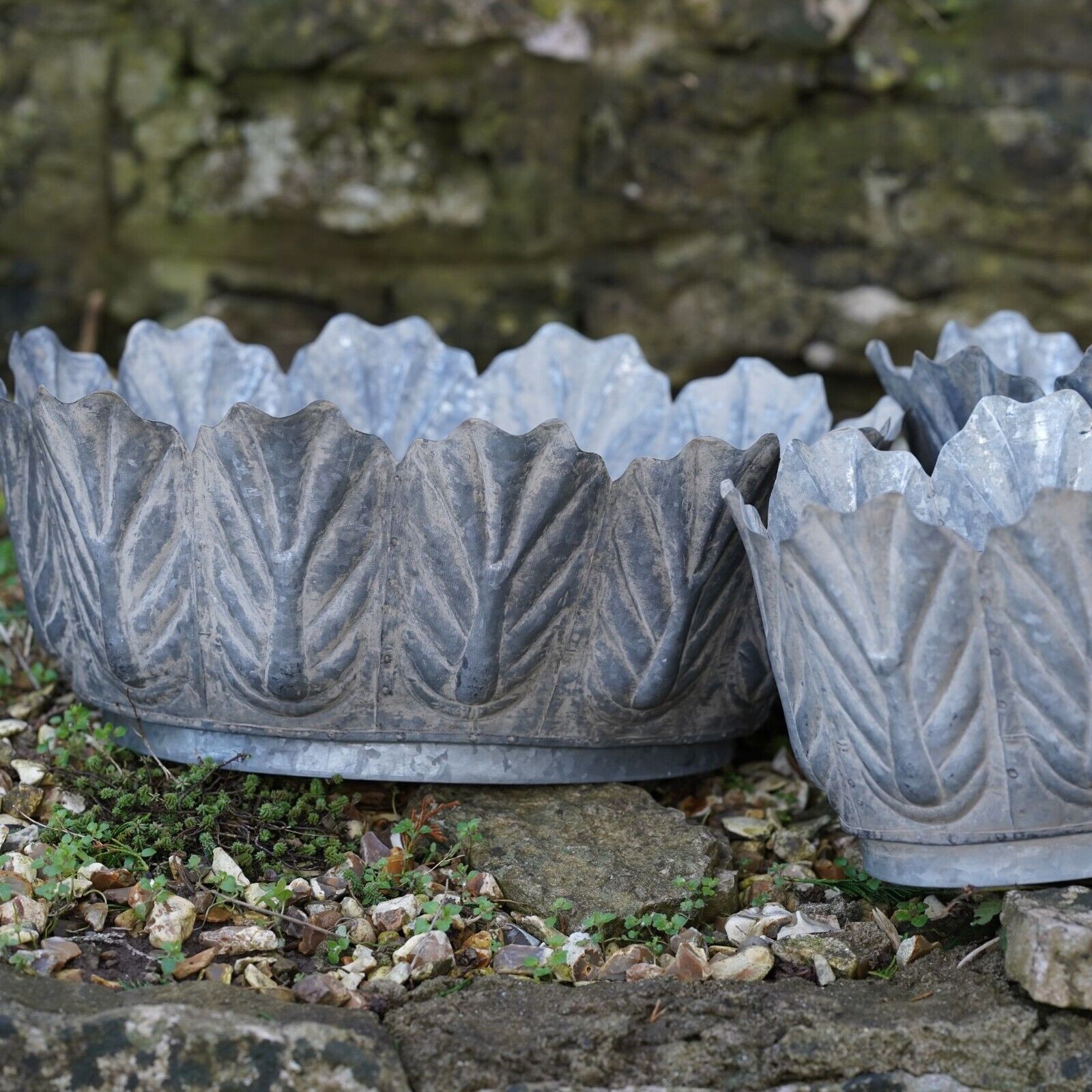 Galvanised Metal Petiole Planters