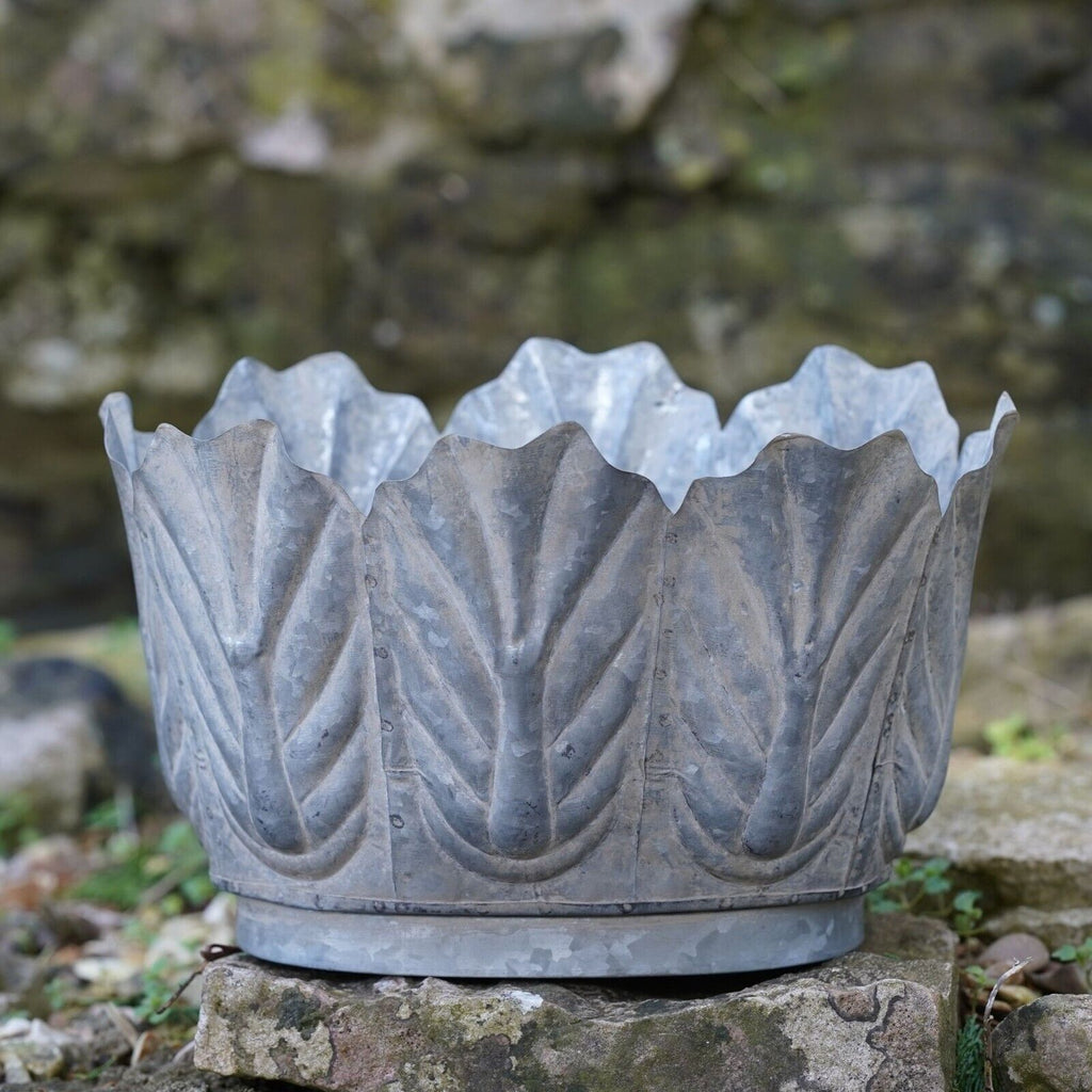 Galvanised Metal Petiole Planters