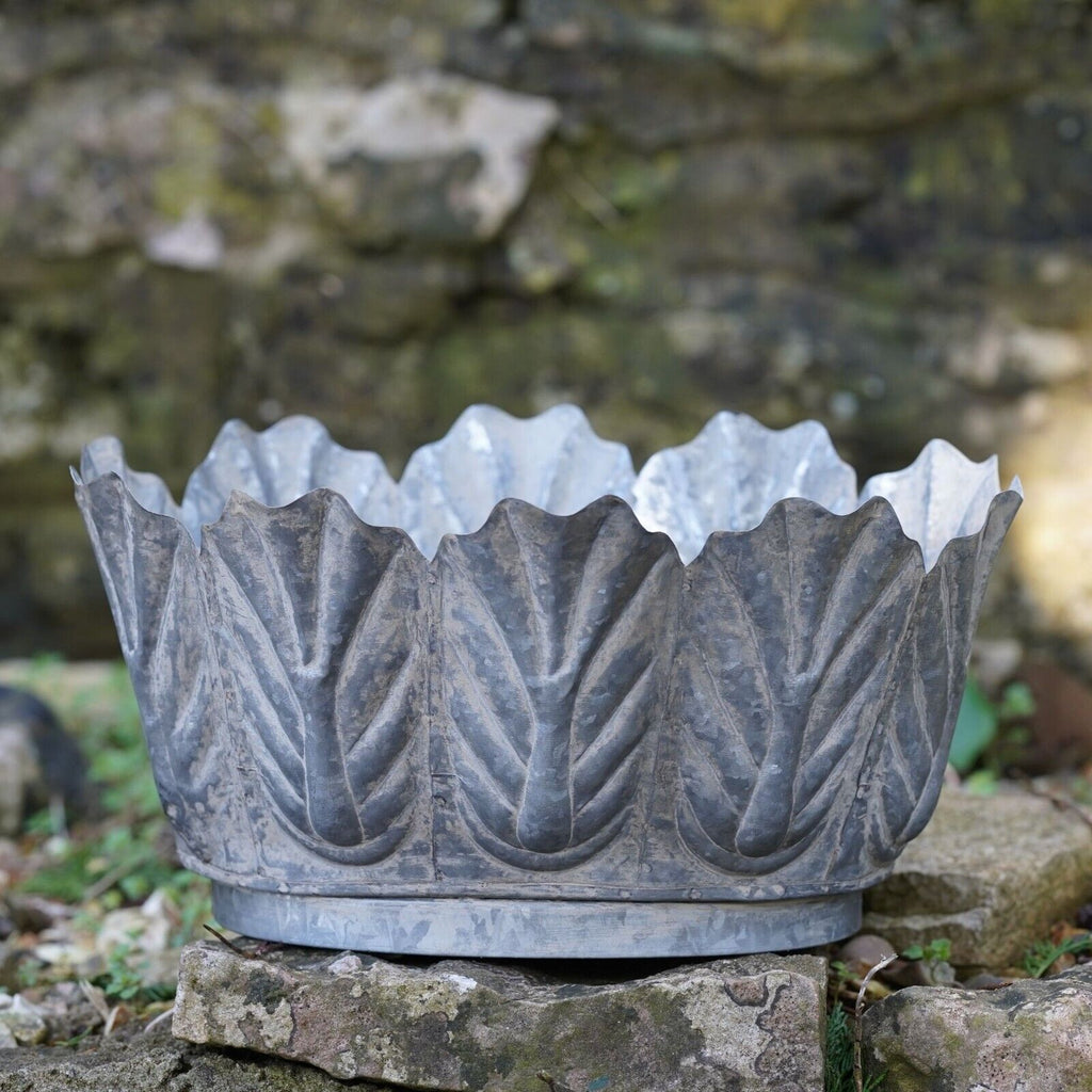 Galvanised Metal Petiole Planters
