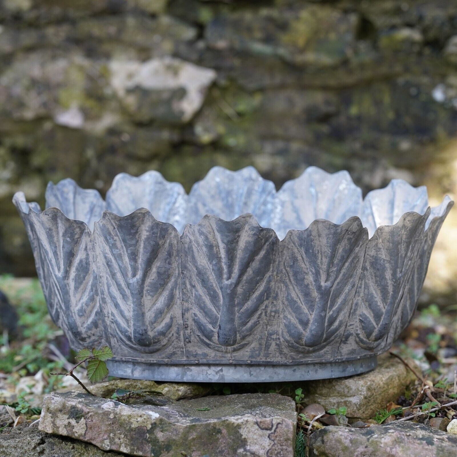 Galvanised Metal Petiole Planters