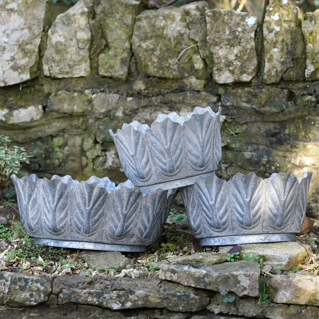 Galvanised Metal Petiole Planters
