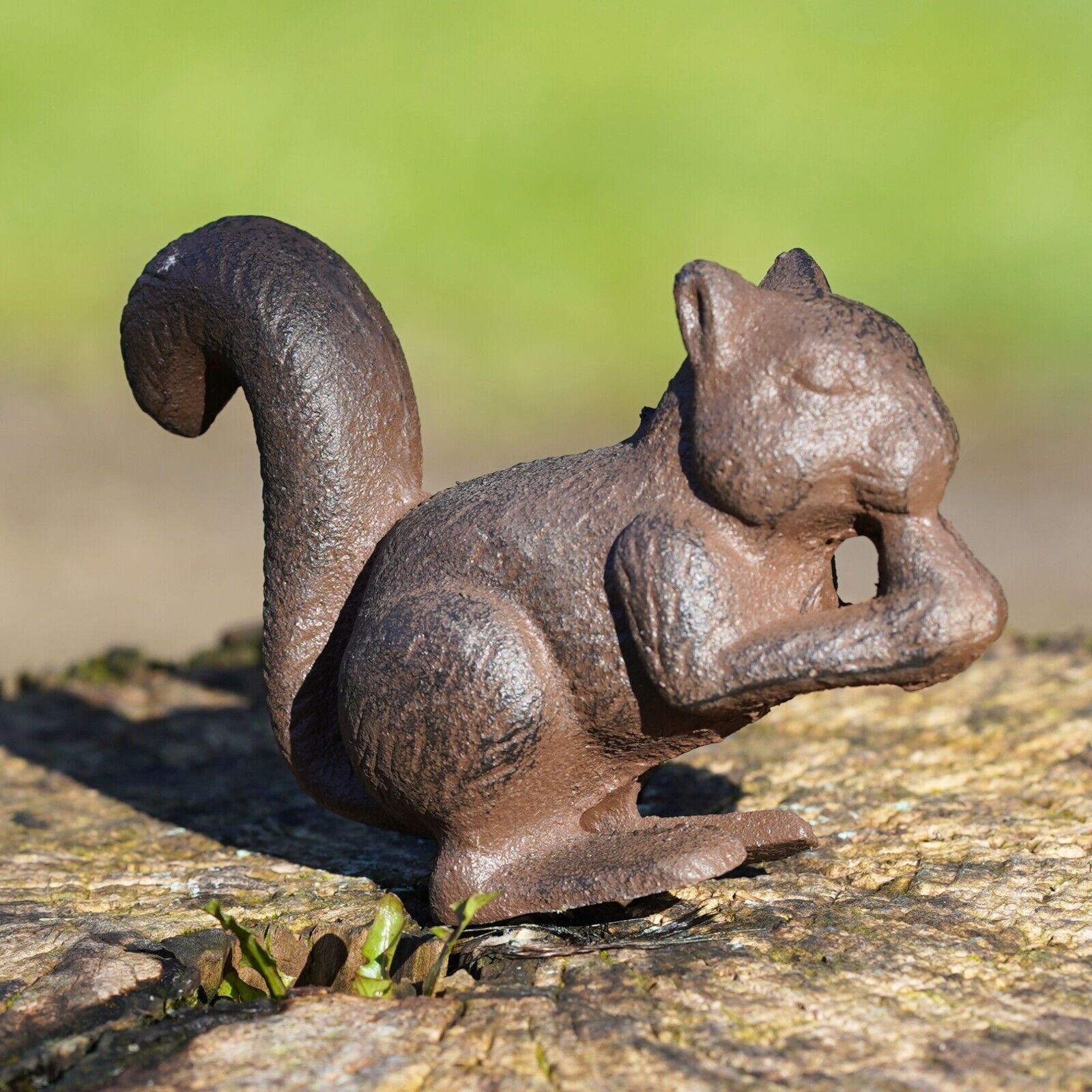 Cast Iron Squirrel