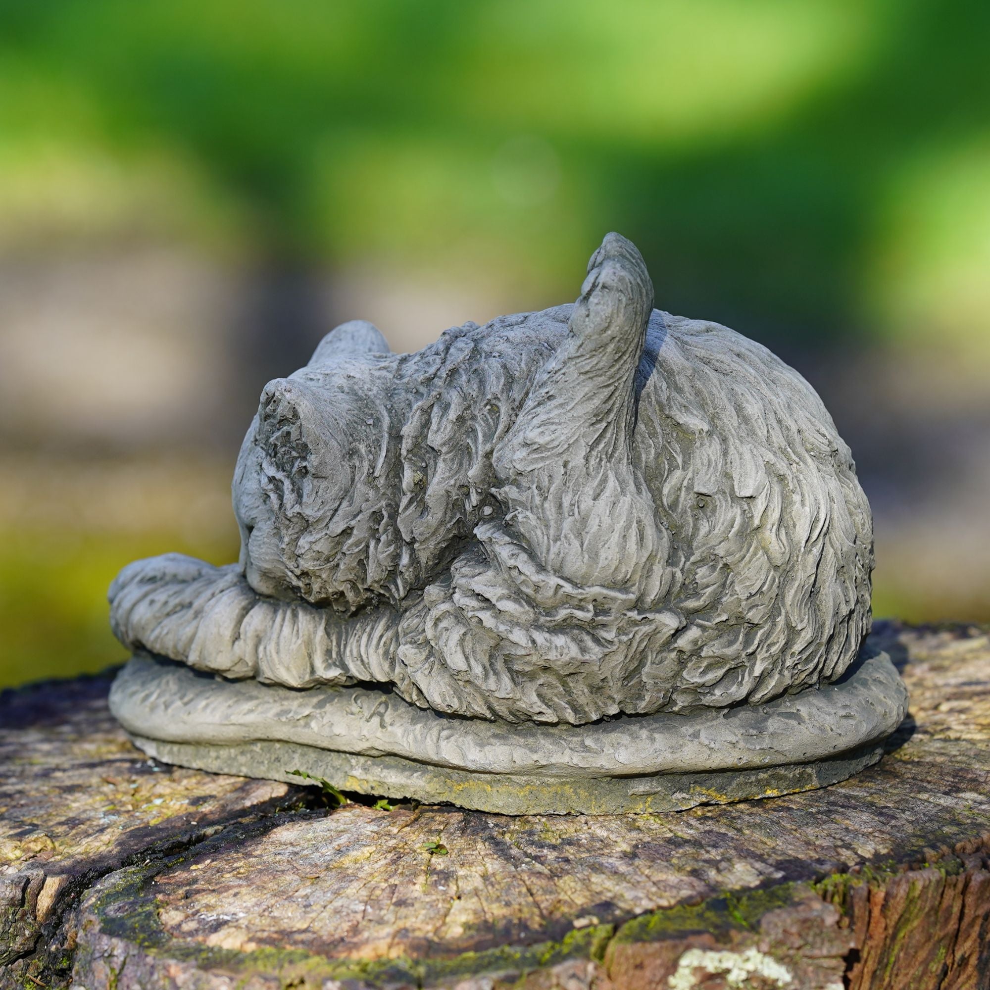 Washing Cat Stone Statue