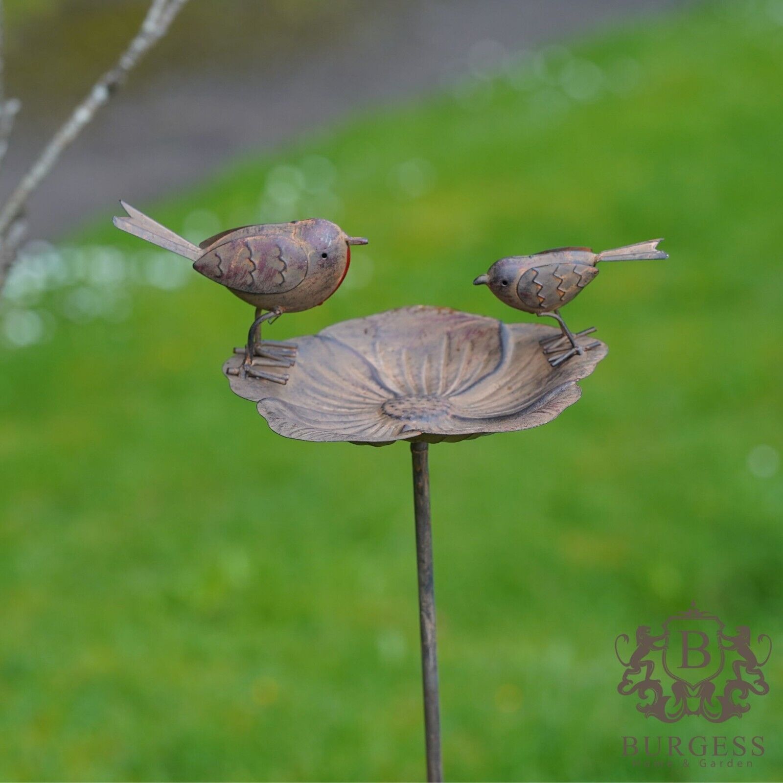 Robin on Flower Bird Feeder Bath