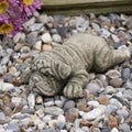 Laying Shar Pei Stone Statue