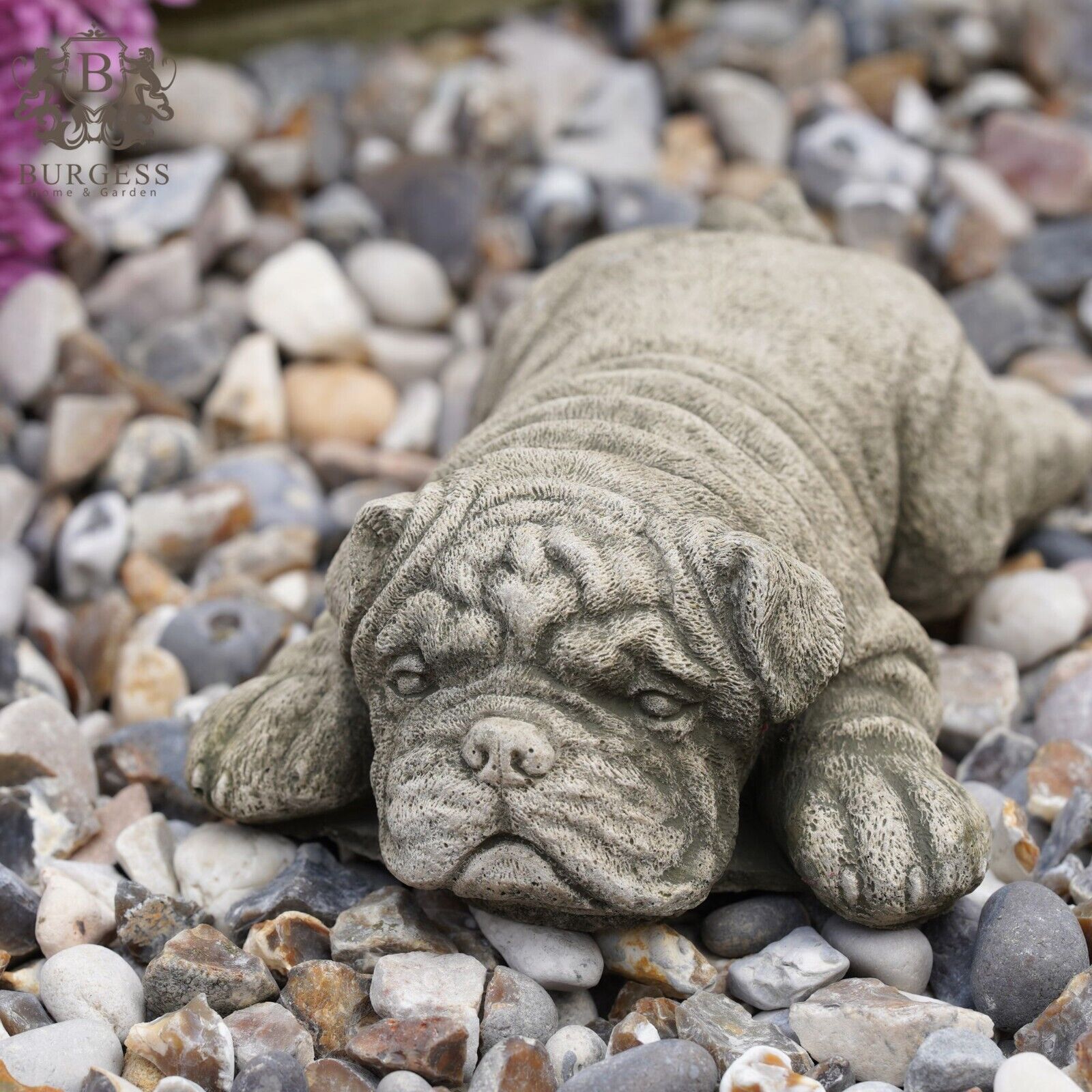 Laying Shar Pei Stone Statue