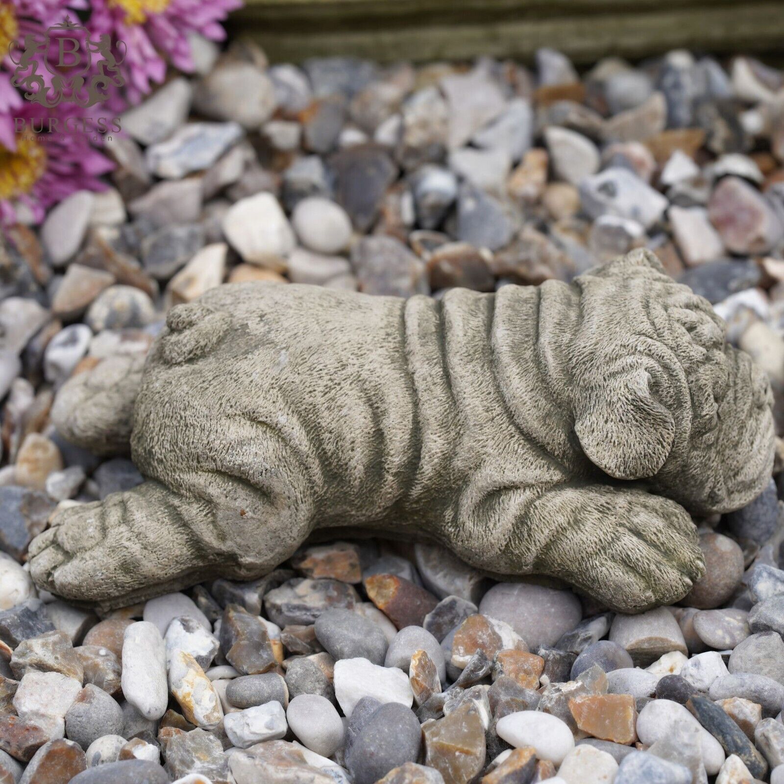 Laying Shar Pei Stone Statue