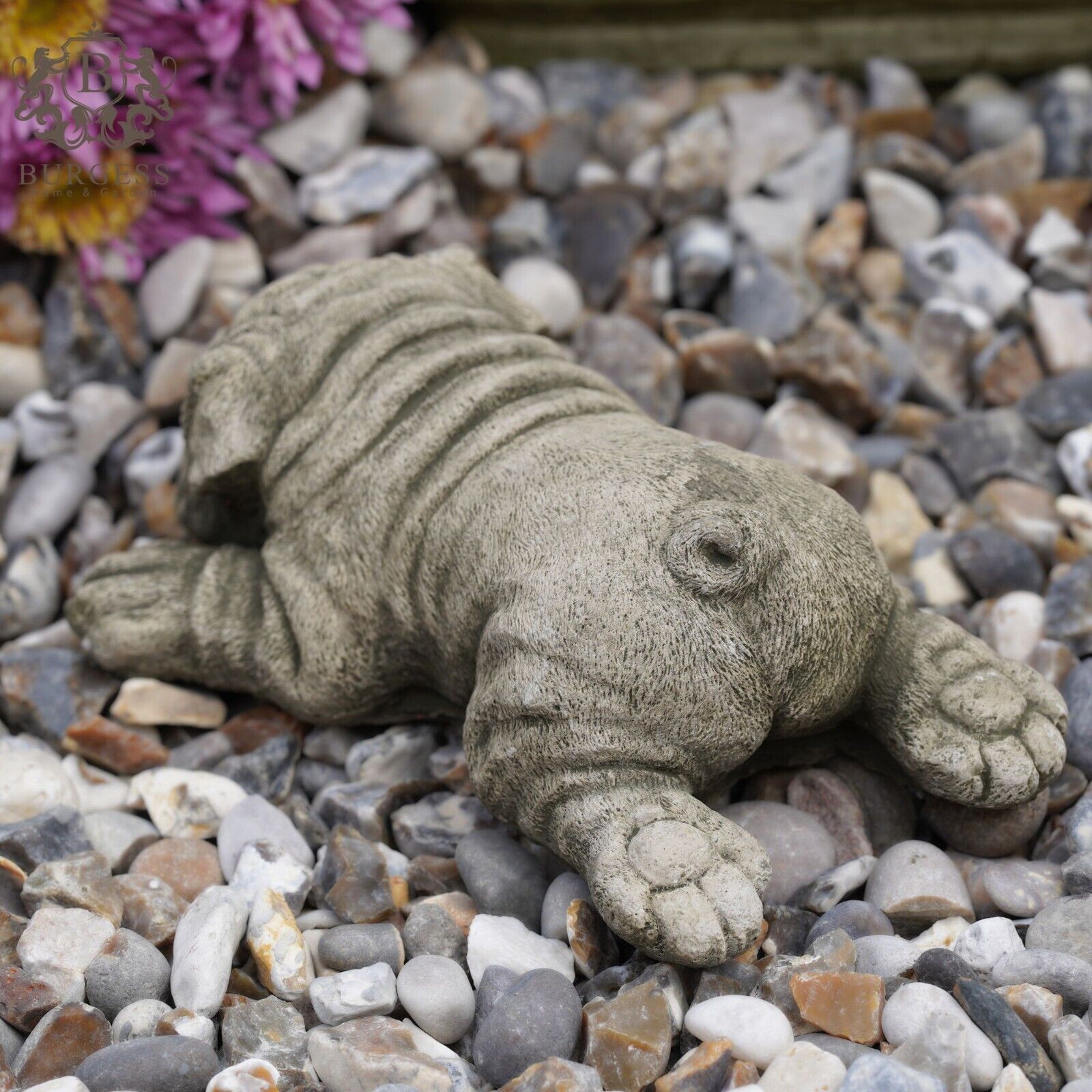 Laying Shar Pei Stone Statue