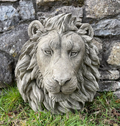Large Lion Head Bust Hanging Plaque