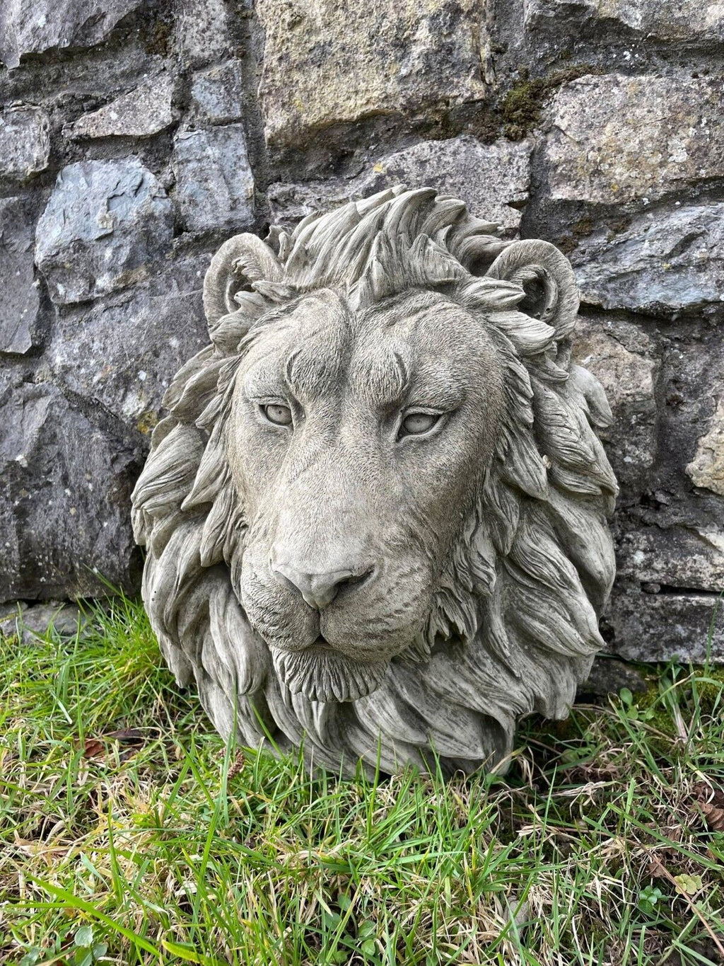 Large Lion Head Bust Hanging Plaque