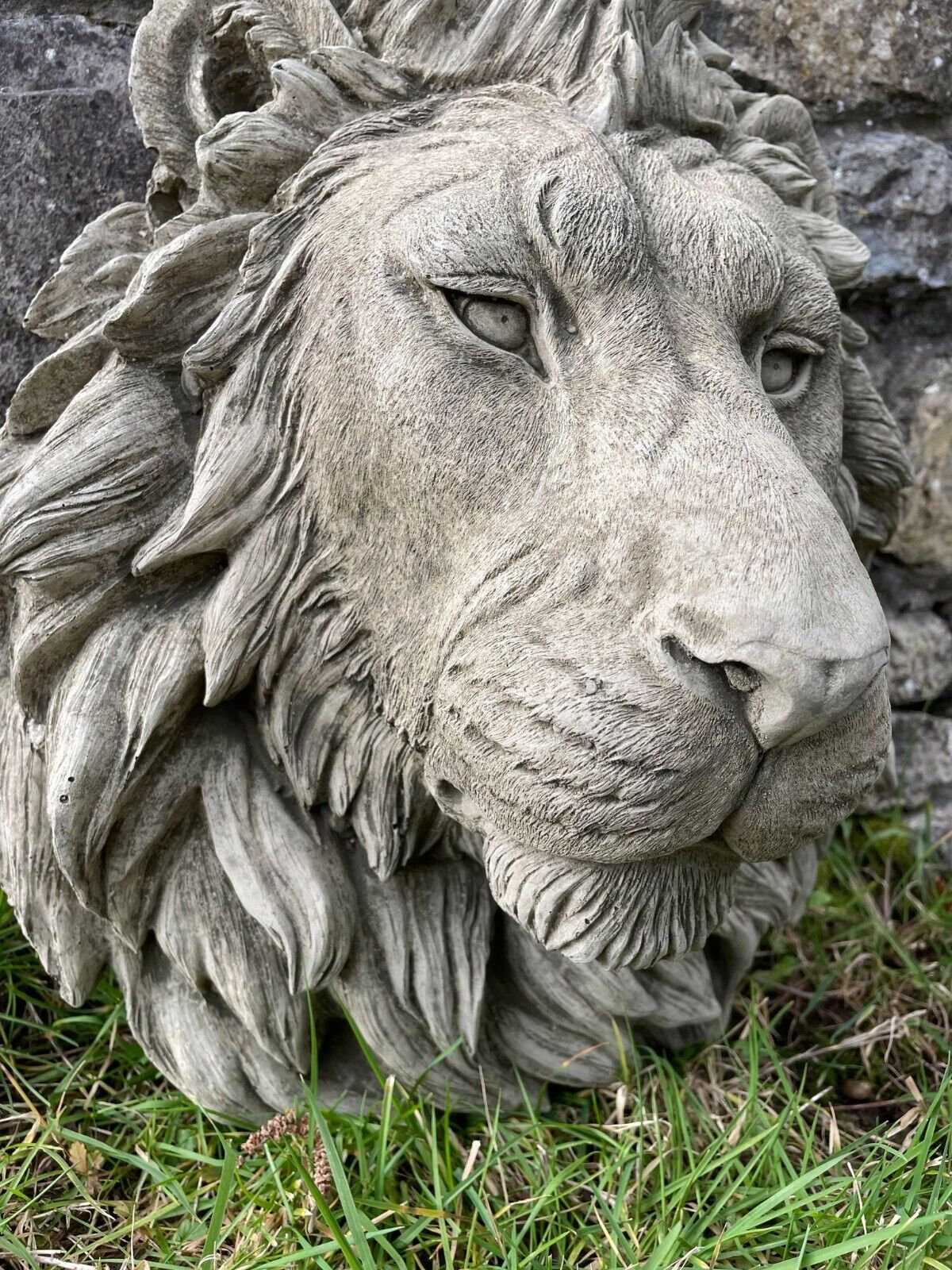 Large Lion Head Bust Hanging Plaque