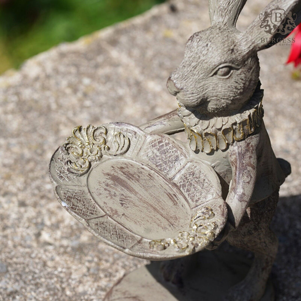 Hare with Tray Bird Feeder Statue