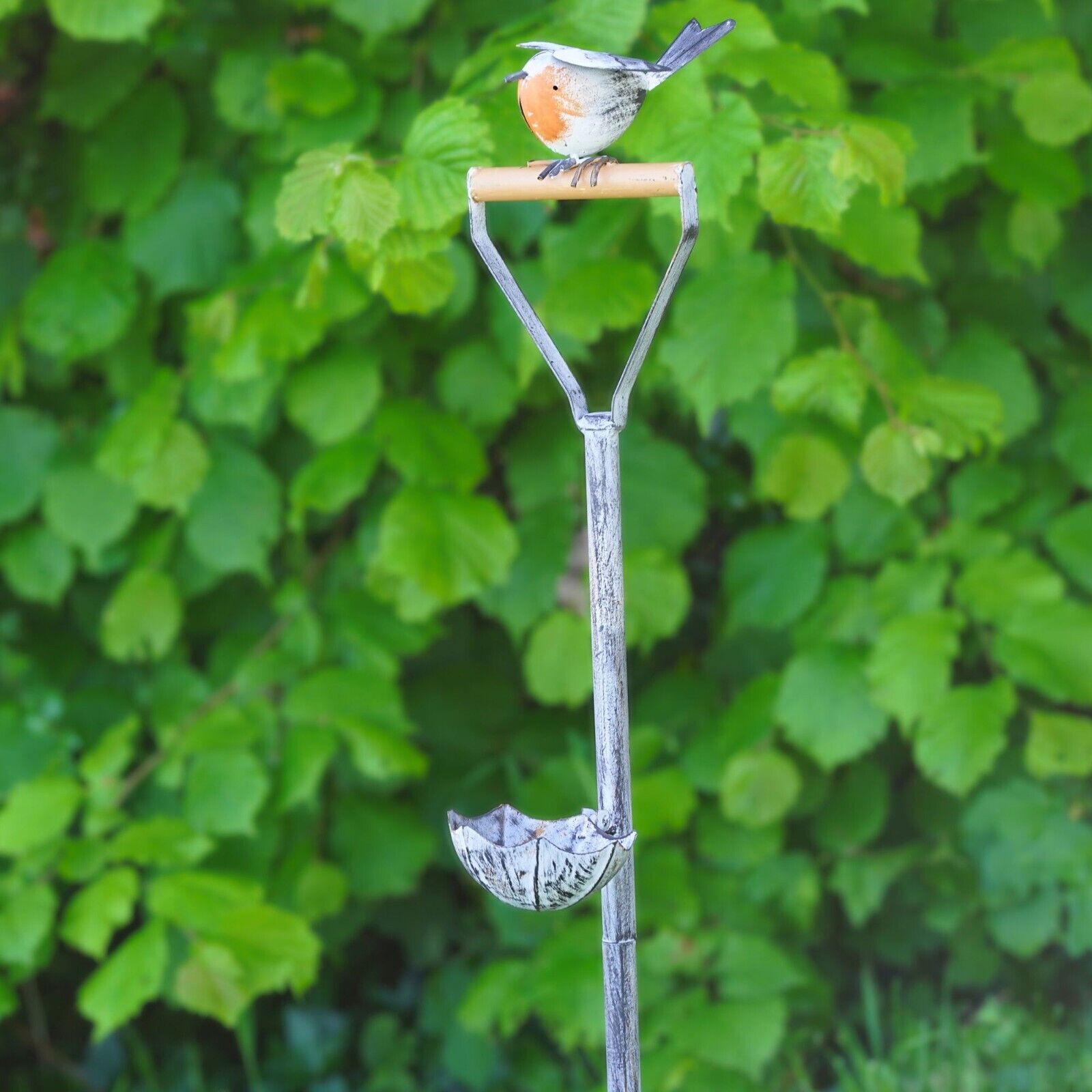 Large Robin on Spade Bird Feeder Bath