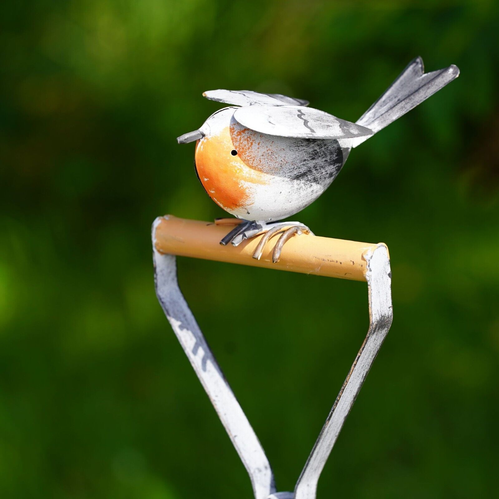 Large Robin on Spade Bird Feeder Bath