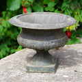 Cast Iron Urn