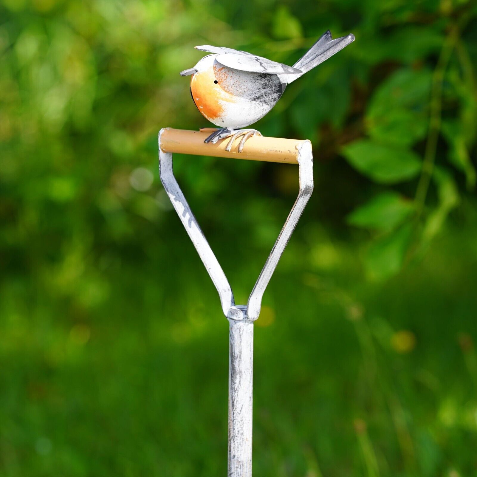 Large Robin on Spade Bird Feeder Bath