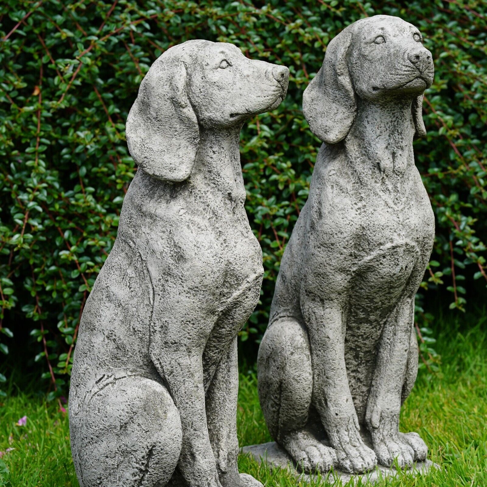 Pair of Large Hound Stone Statues