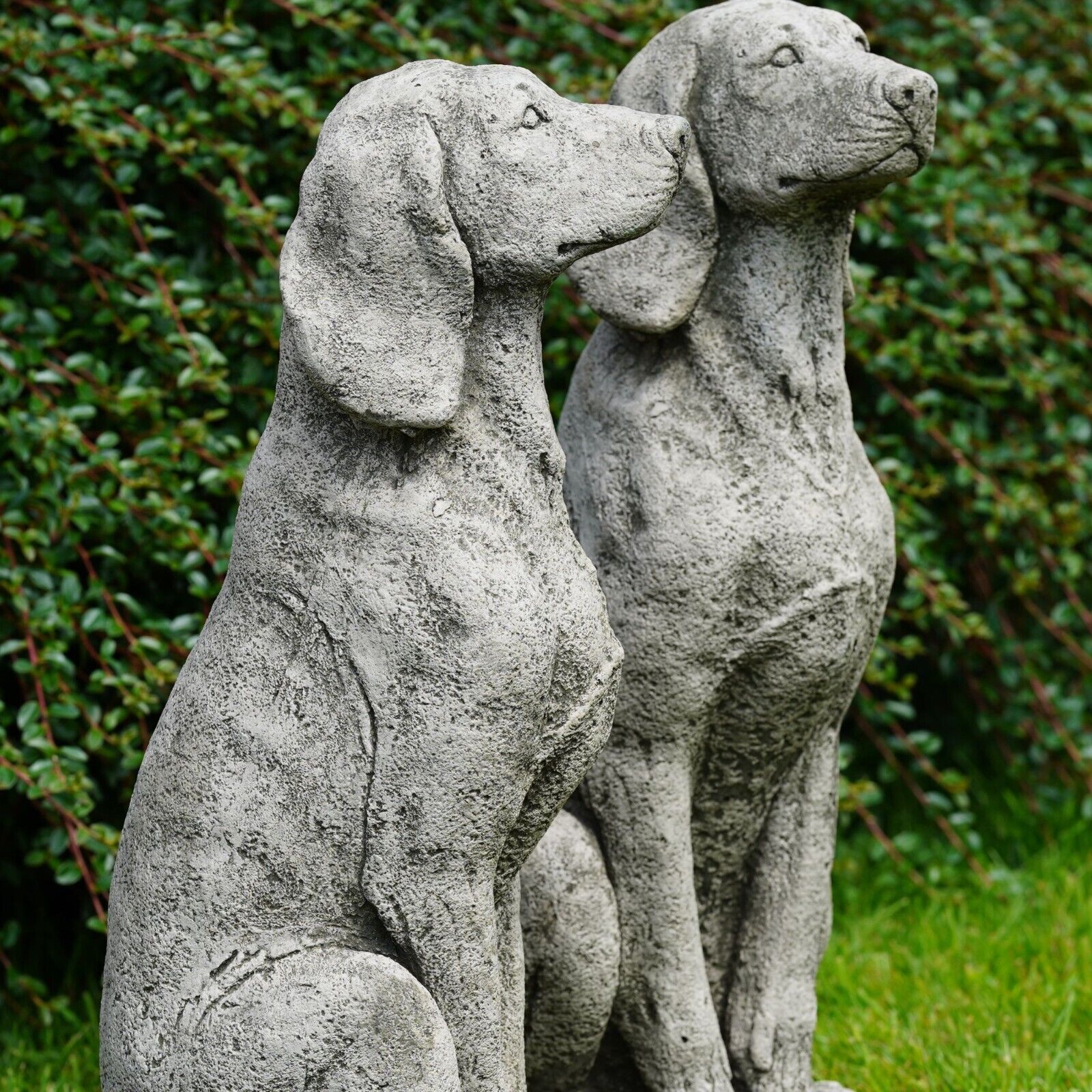 Pair of Large Hound Stone Statues