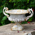 Cast Iron Urn Handled Antique Cream