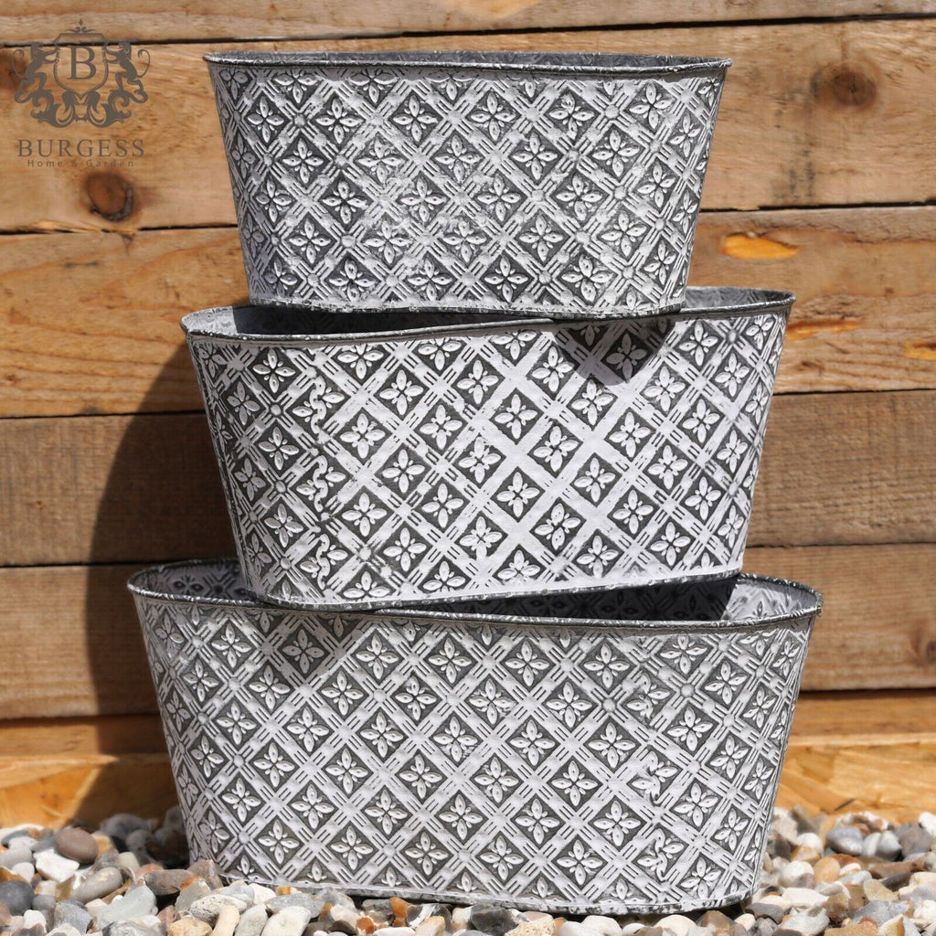 Floral Rose Galvanised Metal Planter