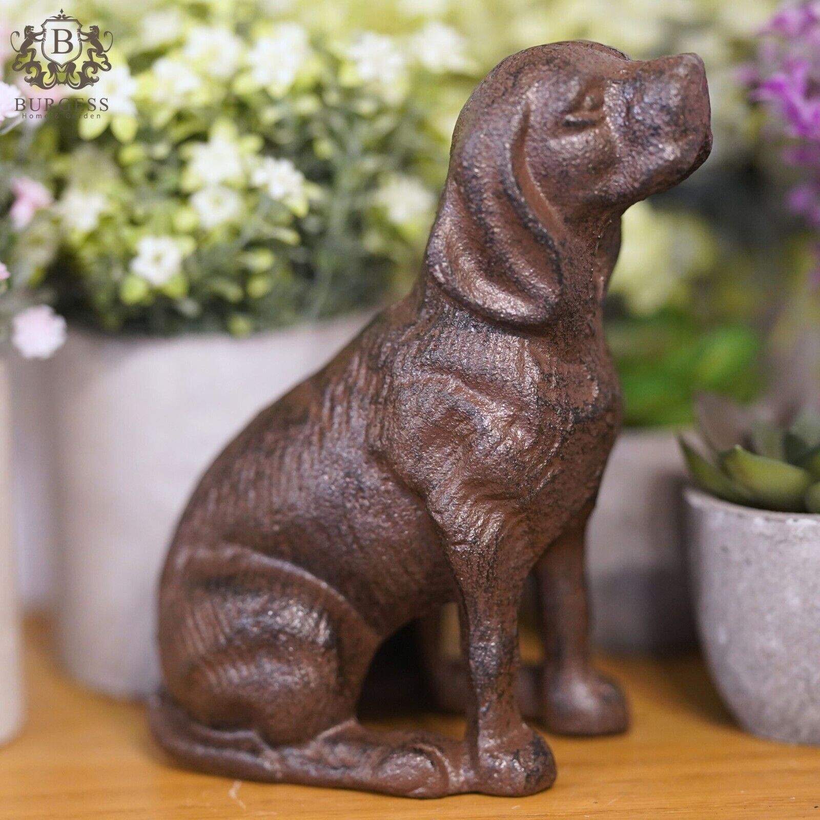 Cast Iron Hound