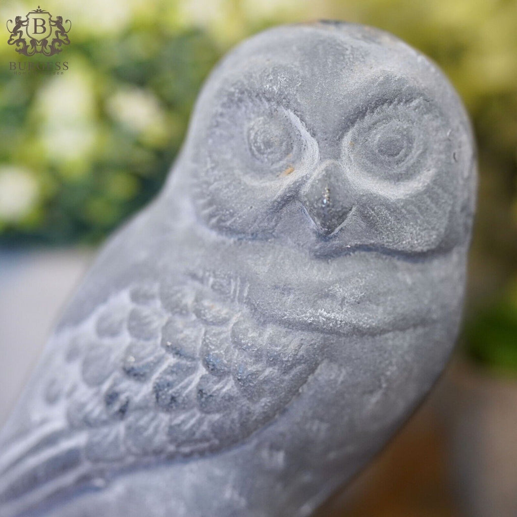 Cast Iron Owl Lead Finish