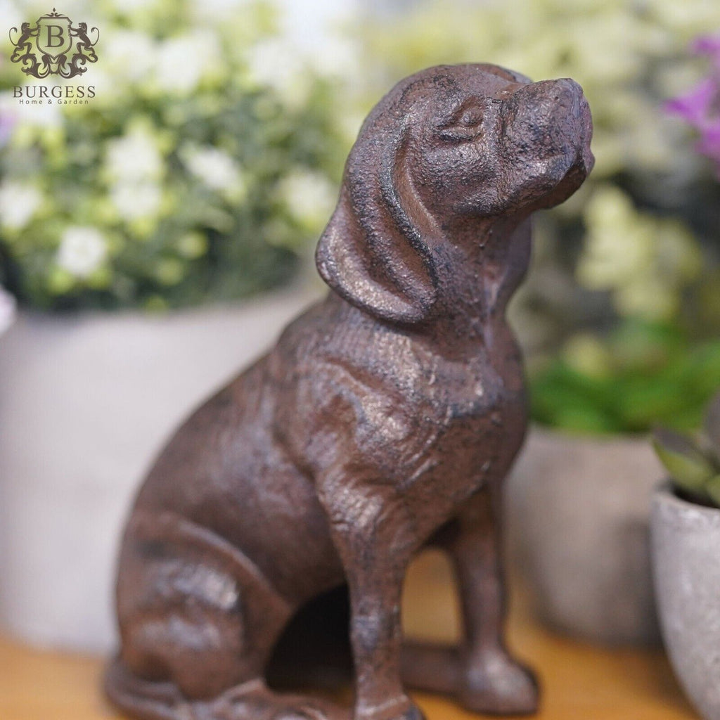 Cast Iron Hound