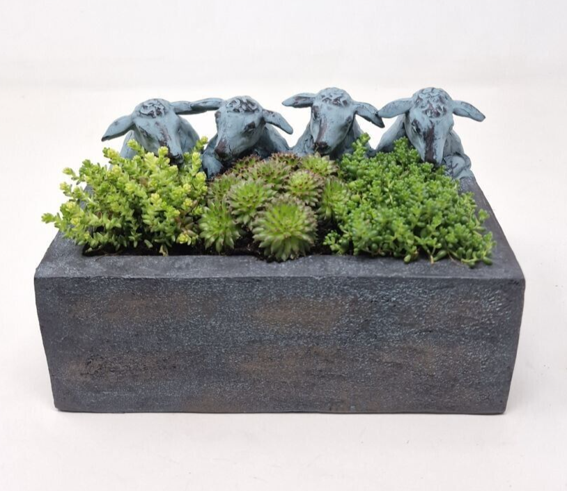 Sheep with Trough Planter Garden Ornament