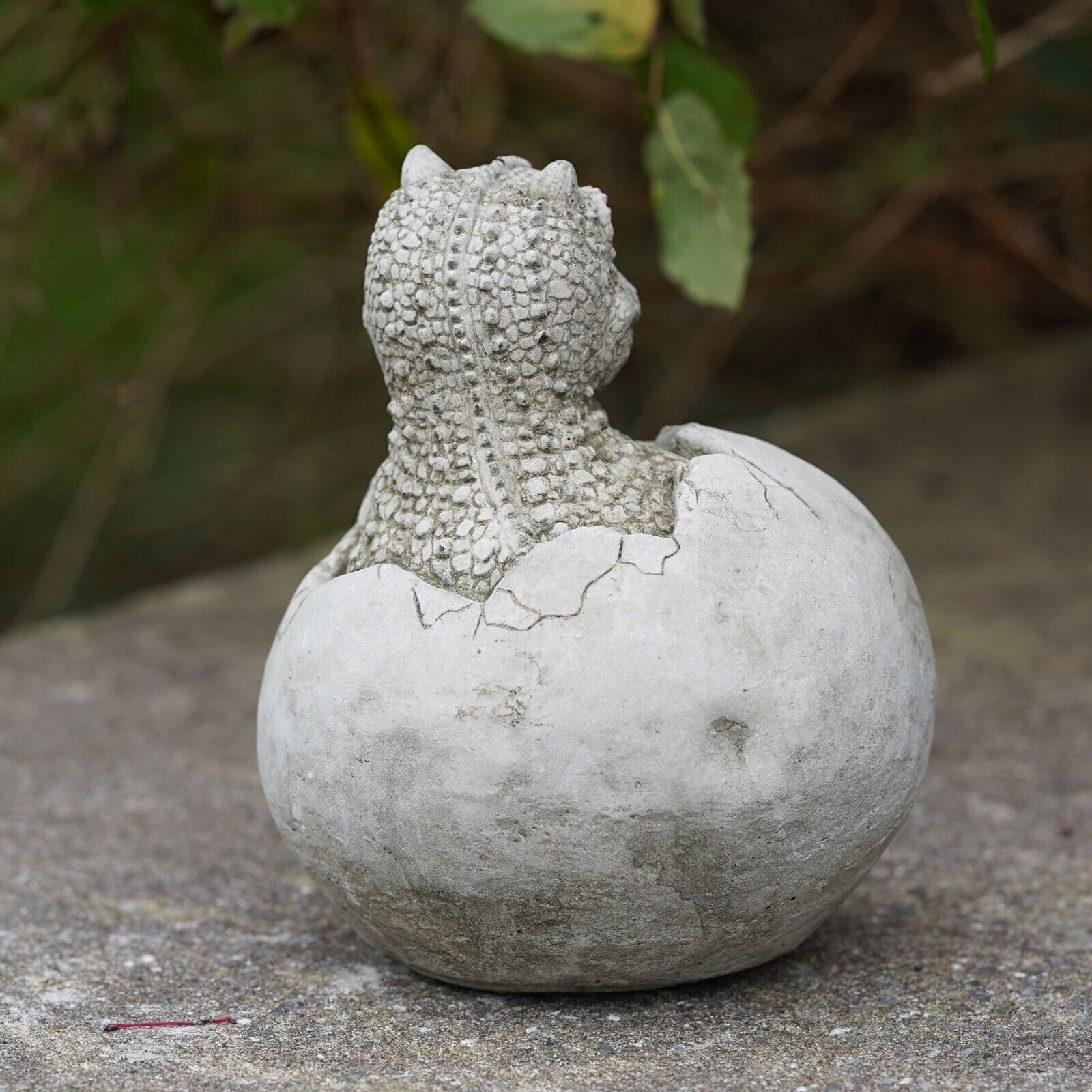 Dinosaur in Egg Shell Carnotaurus Stone Statue