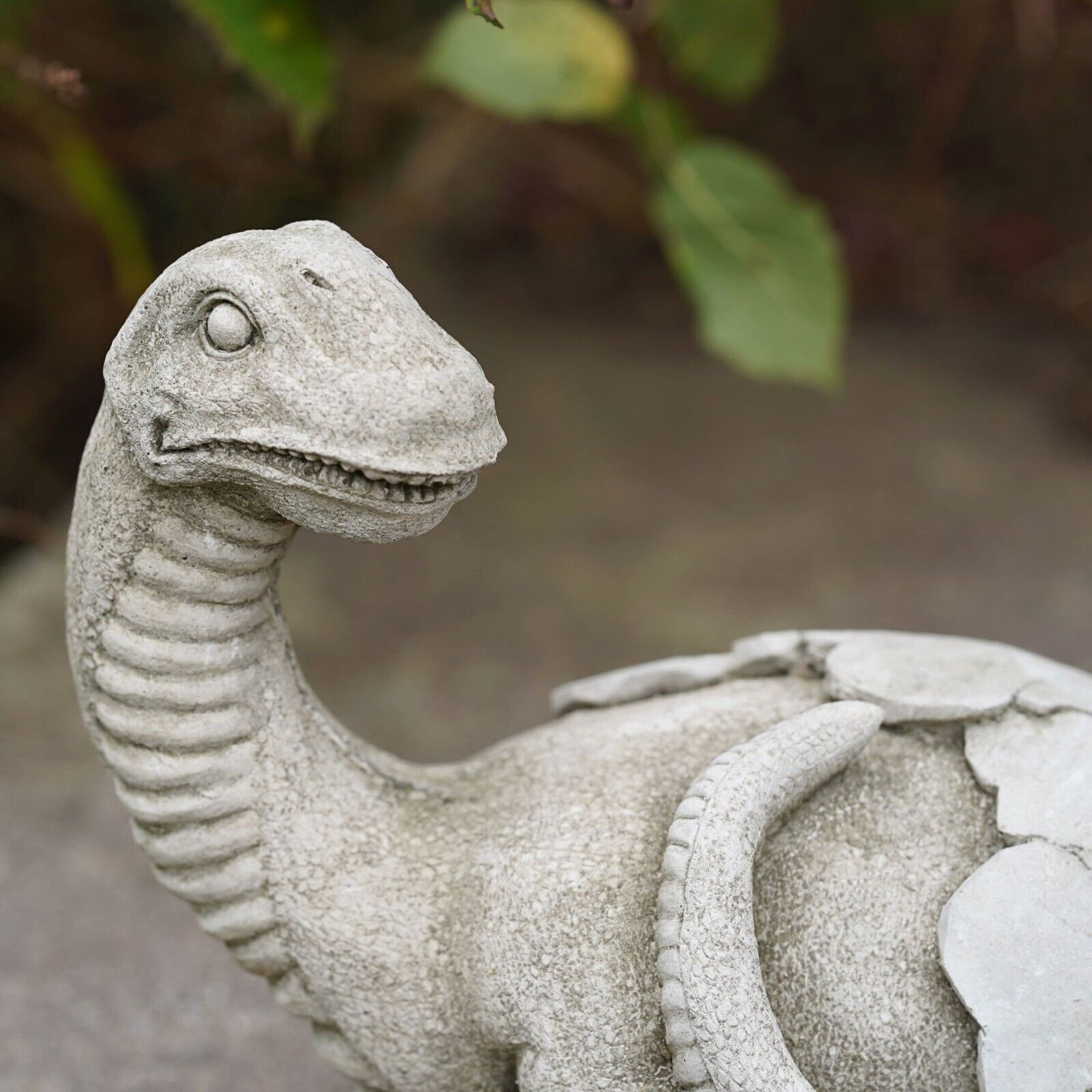 Dinosaur in Egg Shell Brachiosaurus Stone Statue