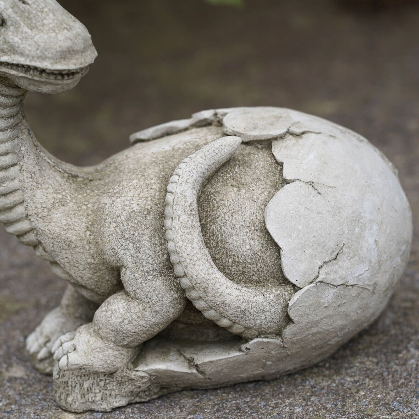 Dinosaur in Egg Shell Brachiosaurus Stone Statue