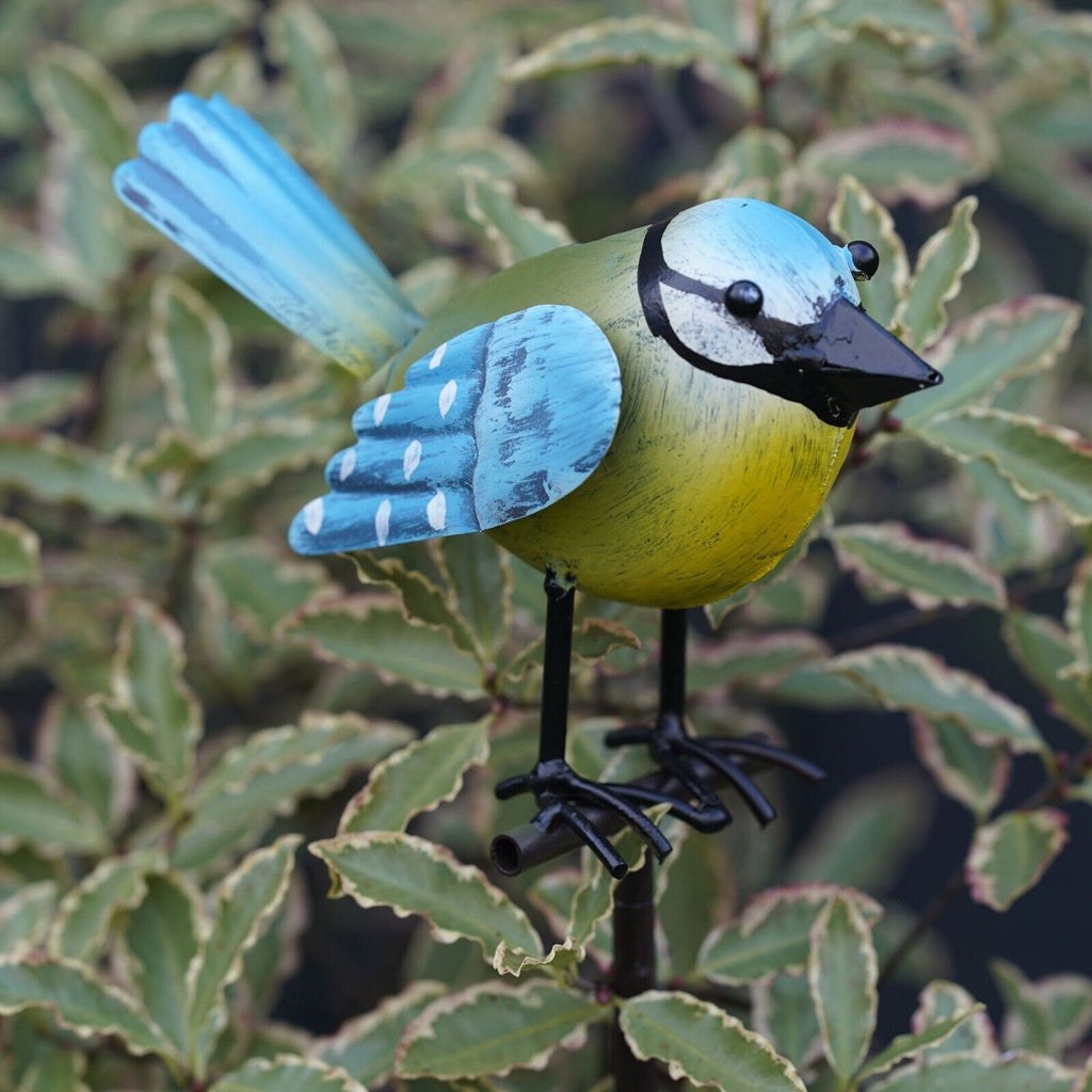 Bird on Stick Metal Robin Blue Tit Garden Sculpture