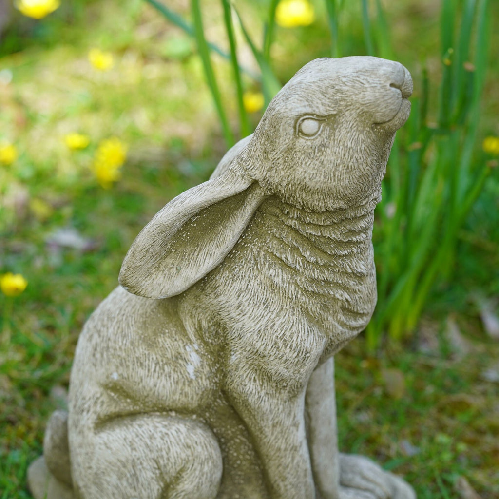 Large Gazing Hare Stone Statue