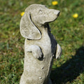 Dachshund Puppy Stone Statue