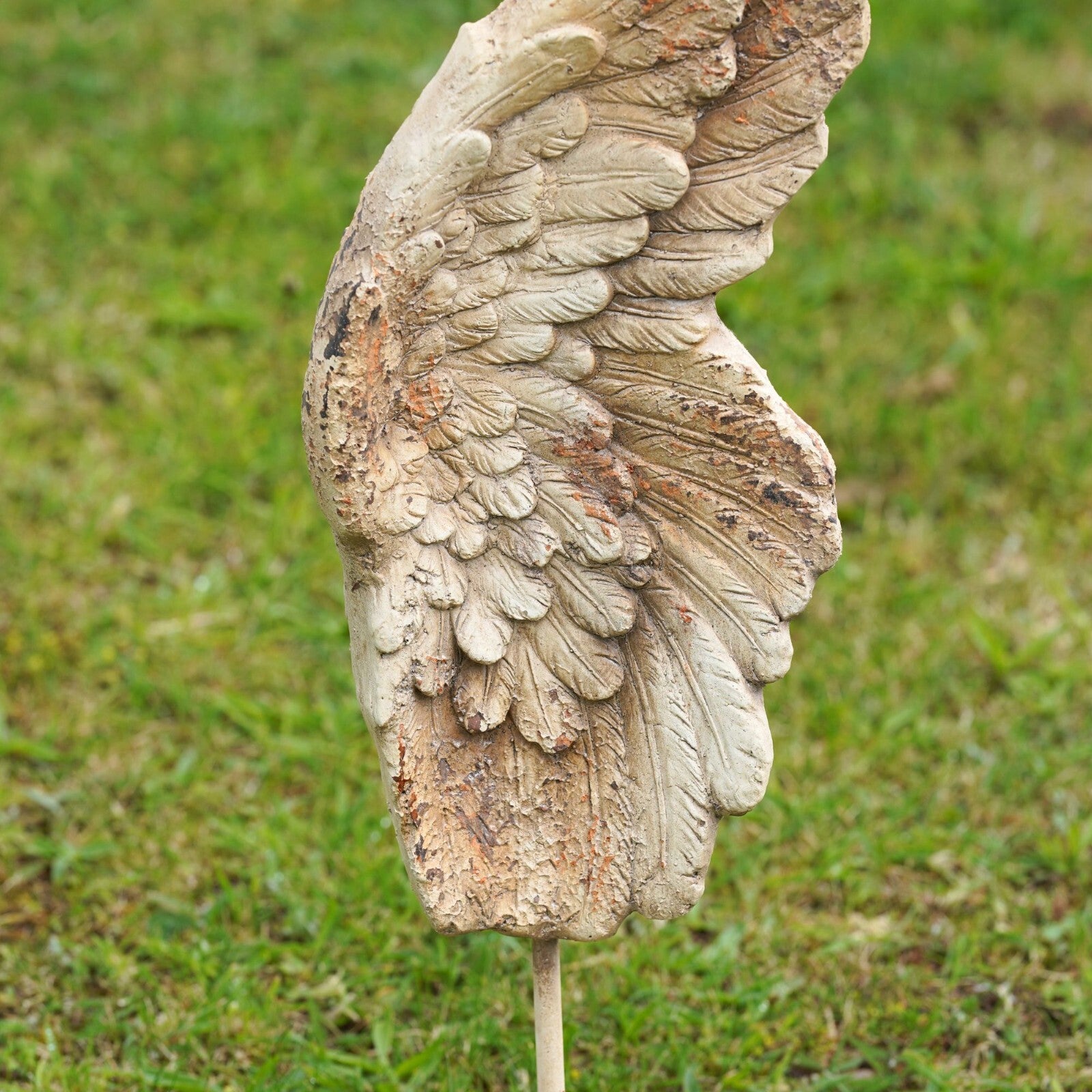 Large Wing Sculpture Resin Garden Ornament