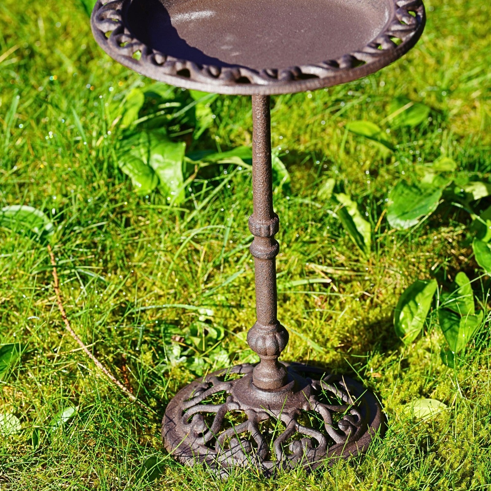 Cast Iron Bird Bath