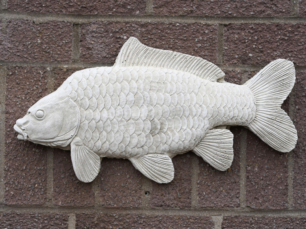 Large Common Carp Hanging Stone Angling Plaque