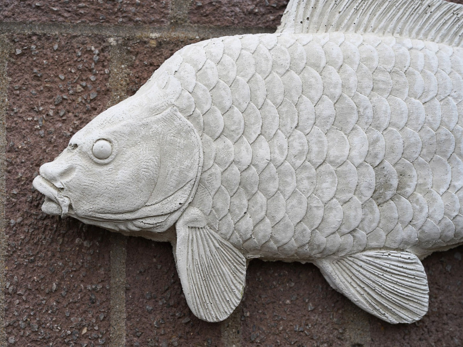 Large Common Carp Hanging Stone Angling Plaque