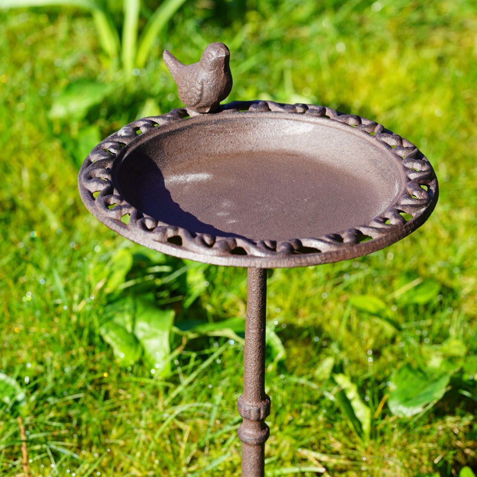 Cast Iron Bird Bath