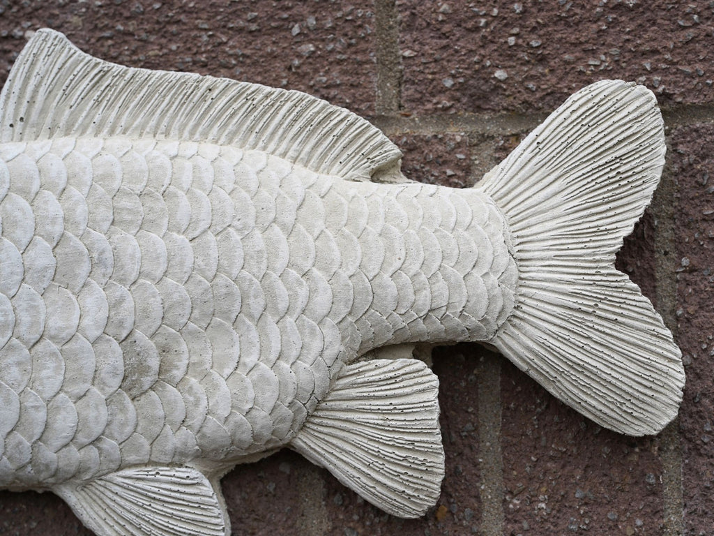 Large Common Carp Hanging Stone Angling Plaque