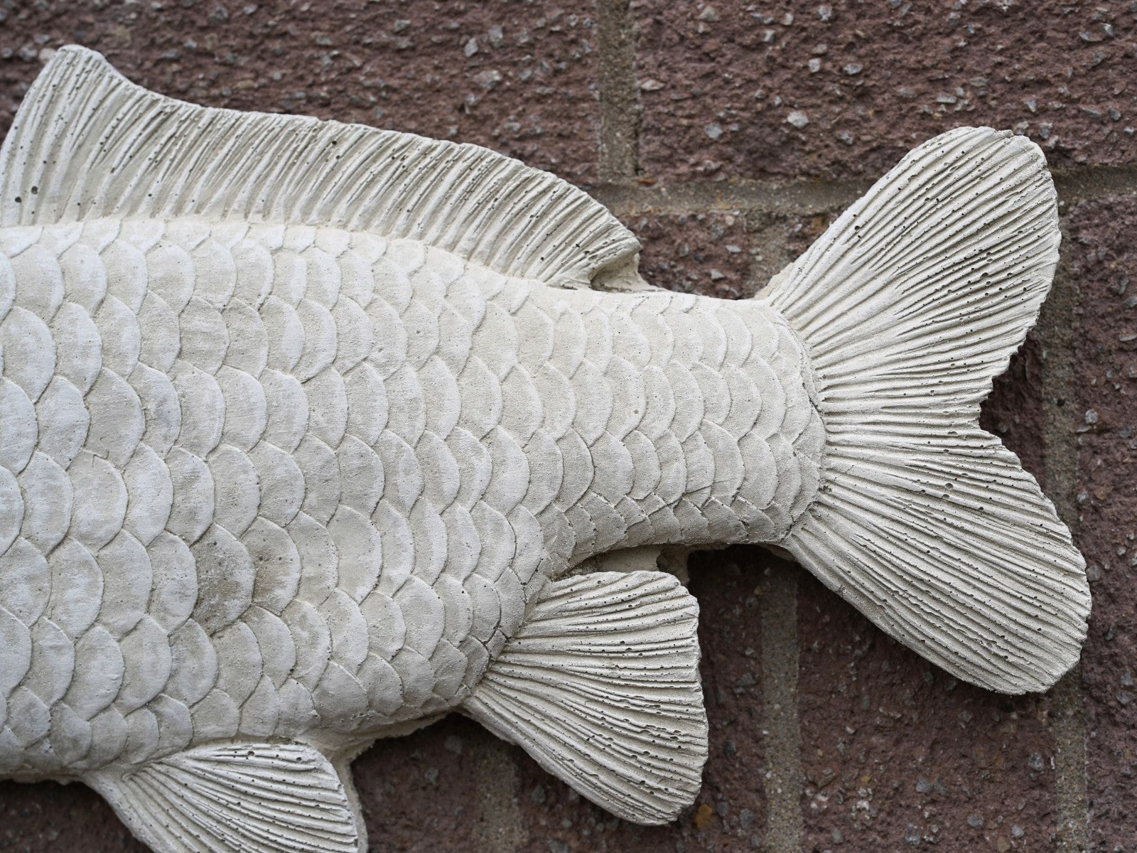 Large Common Carp Hanging Stone Angling Plaque